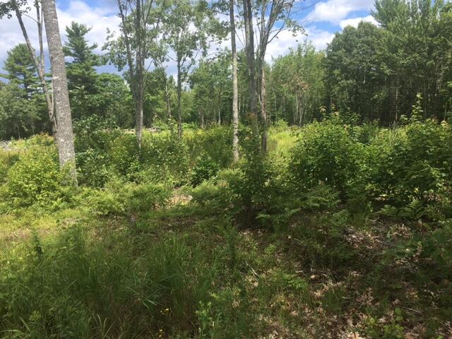 00 Bucksport Road Ellsworth