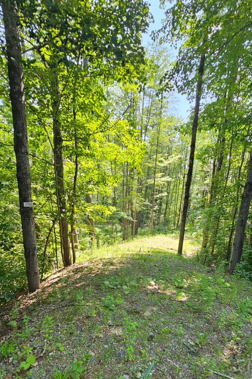 296 Libby Hill Road Gardiner
