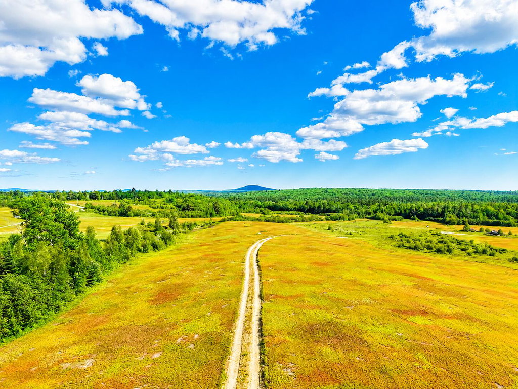 MAP19LOT28 Leach Road Penobscot