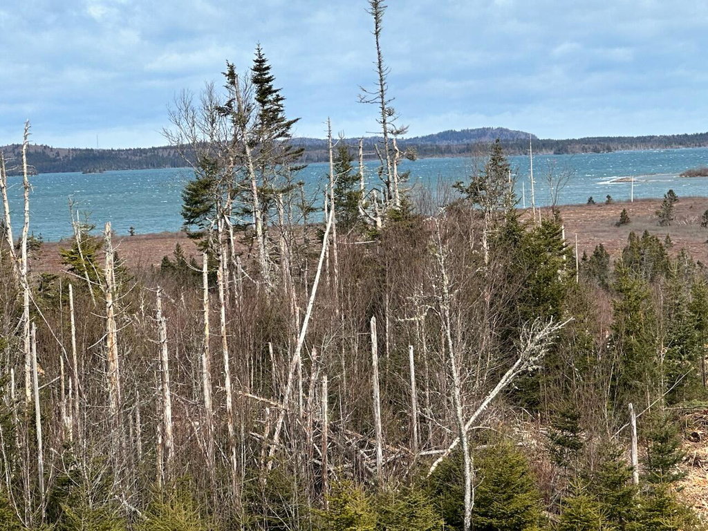 25A-14 Blackwood Lane Lubec