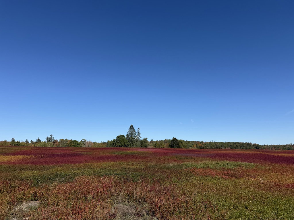 MAP 31 LOT 29