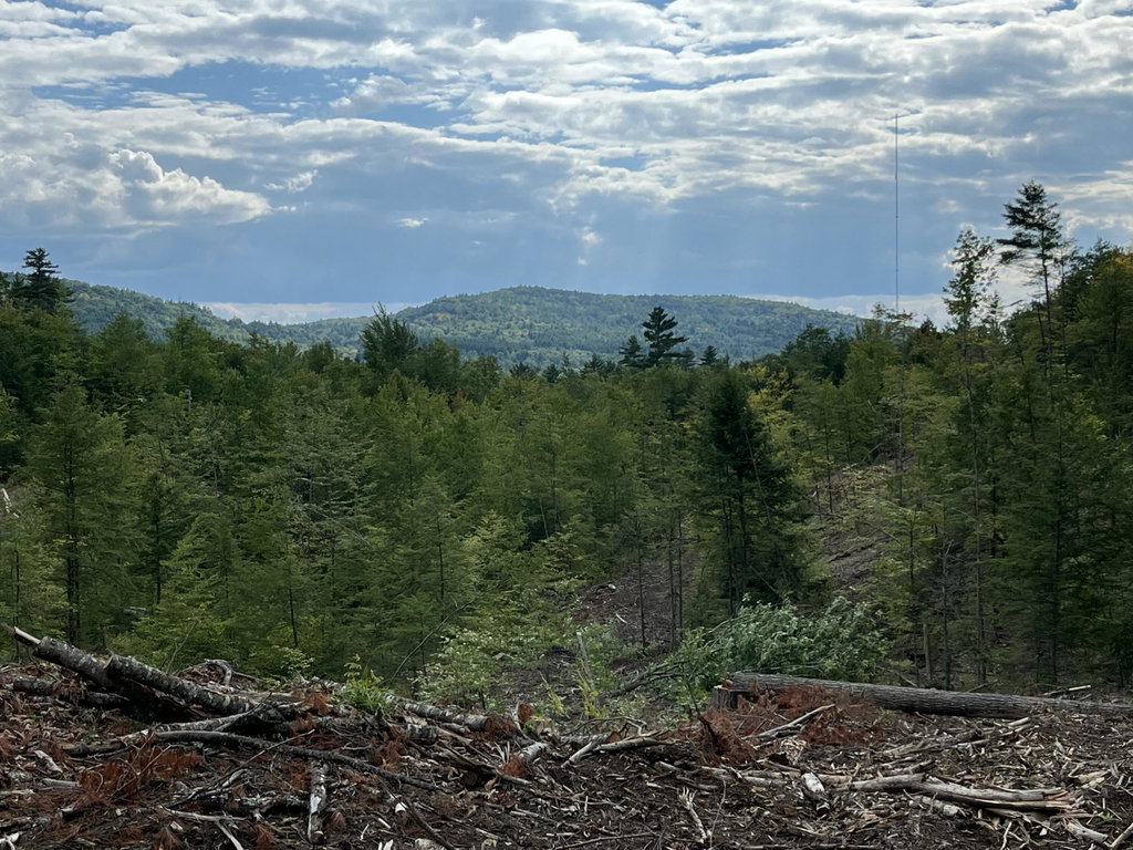 203 Robinson Hill Road Sebago
