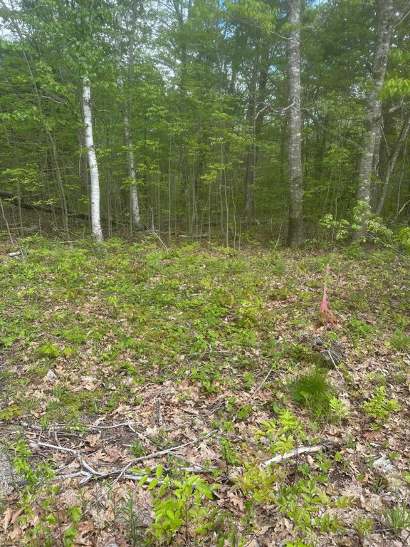 Lot 7 Unionville Road Steuben