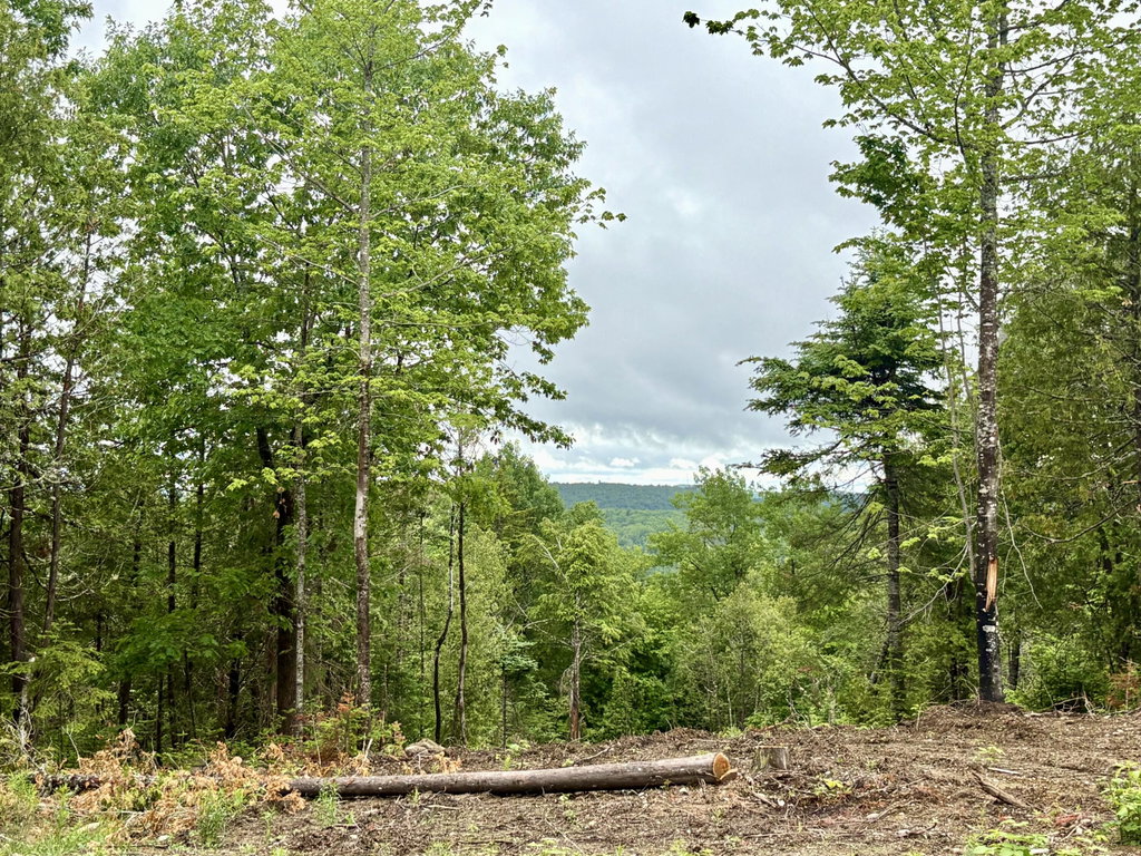Lot 13 Mt. Jefferson Heights Lee