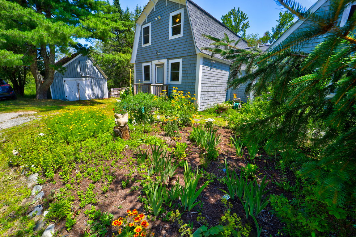 163JayCarterRoad37