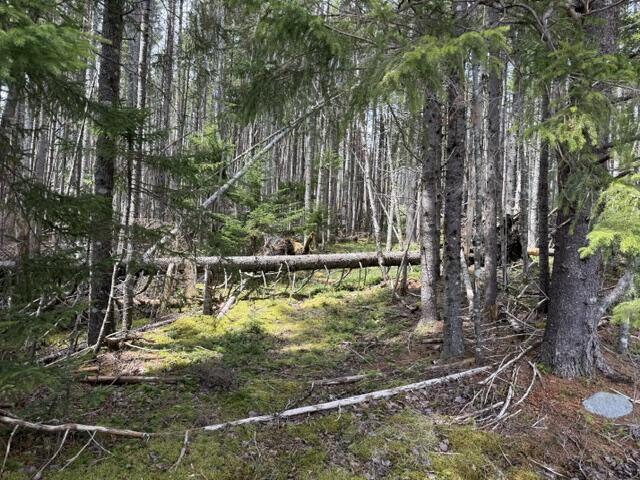 Lot 6 Holmes Bay Farms Road Whiting