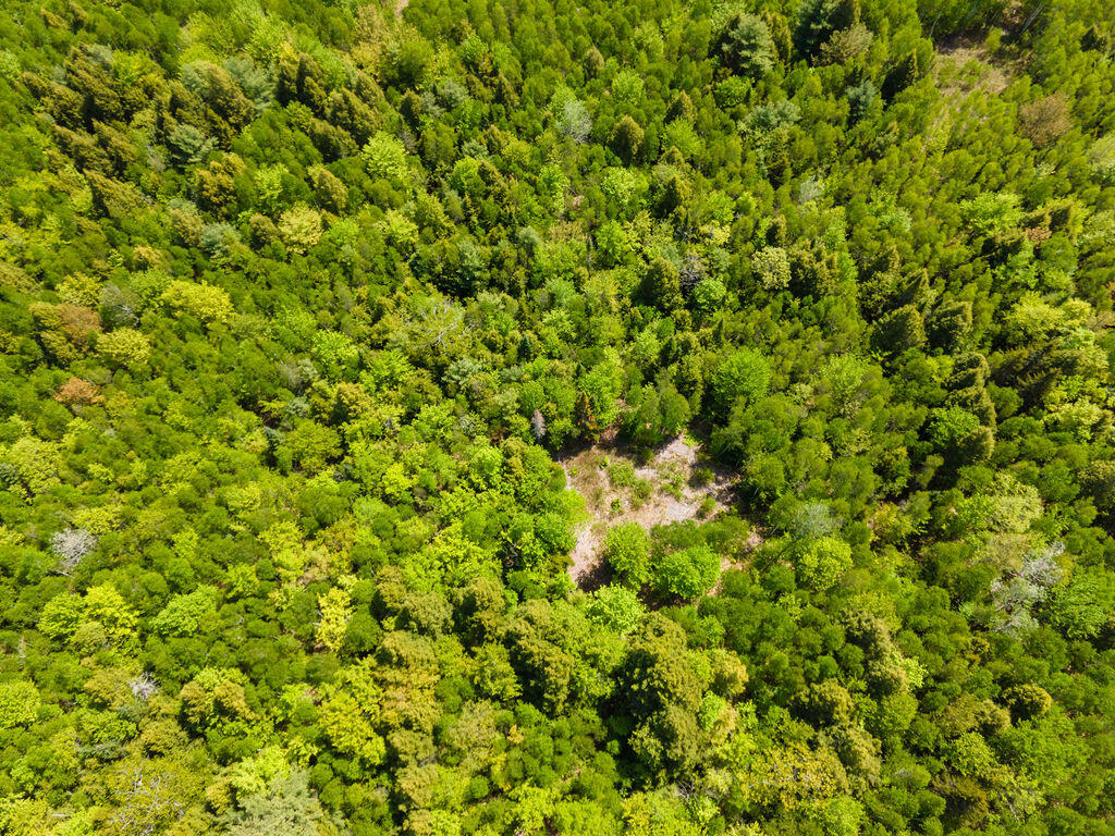 10-DJI_0117