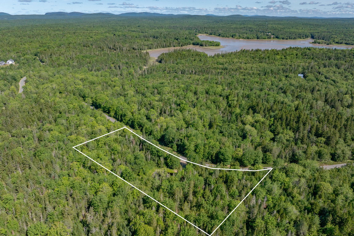 13-Lot 12_ Merganser Drive-DTP