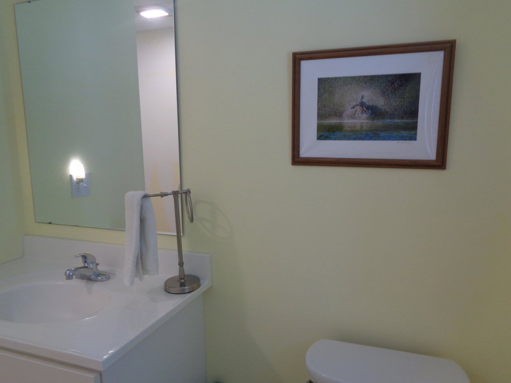 Bathroom 1