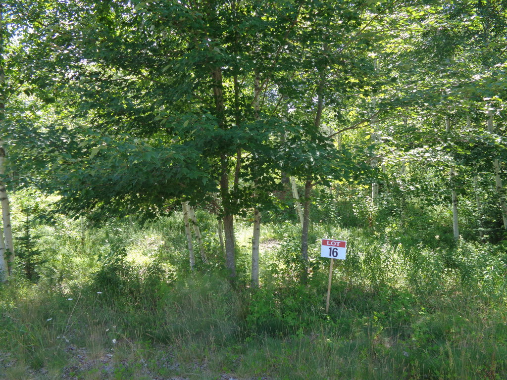 Lot 16 Bailey Mountain Road Franklin