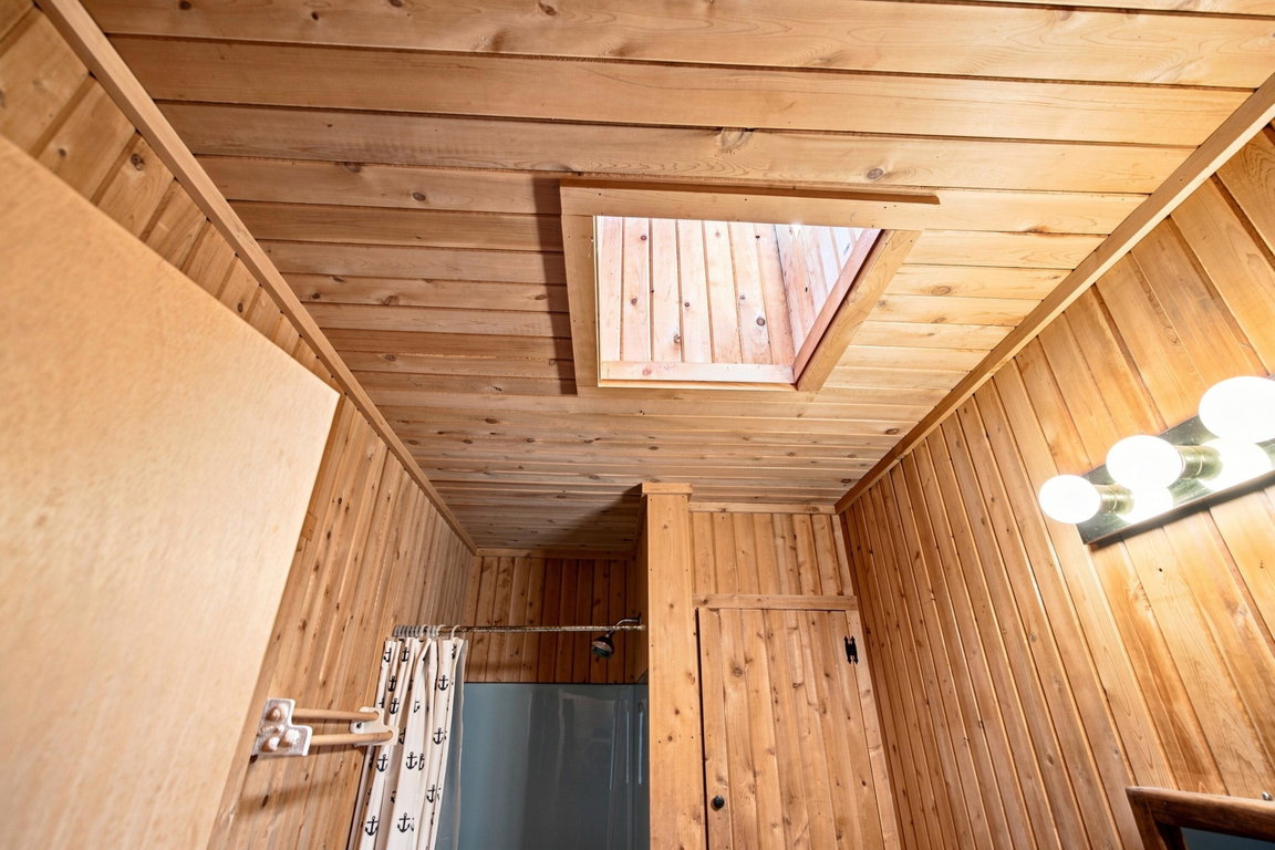 Bath skylight