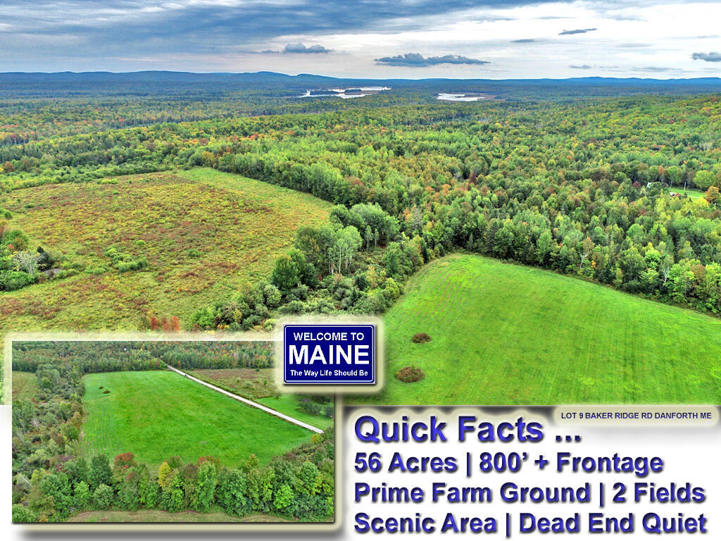 Lot 9 Baker Ridge Road Danforth