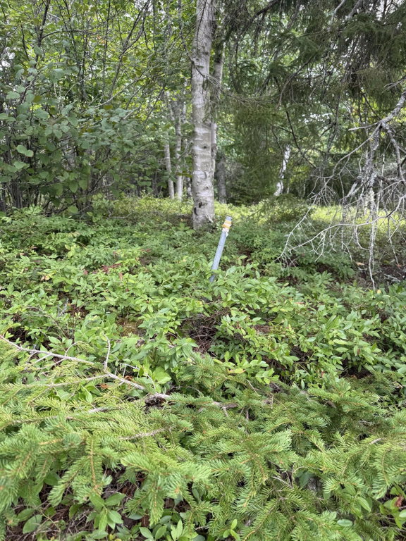 IMG_5847