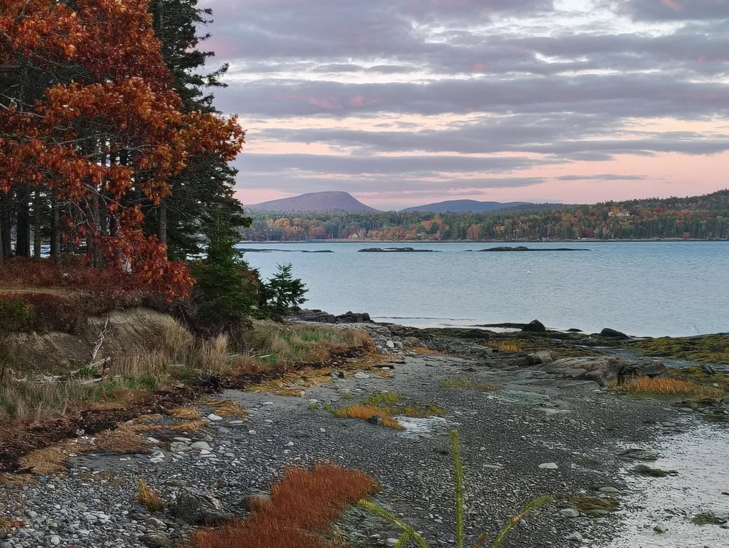 gull rock schoodic