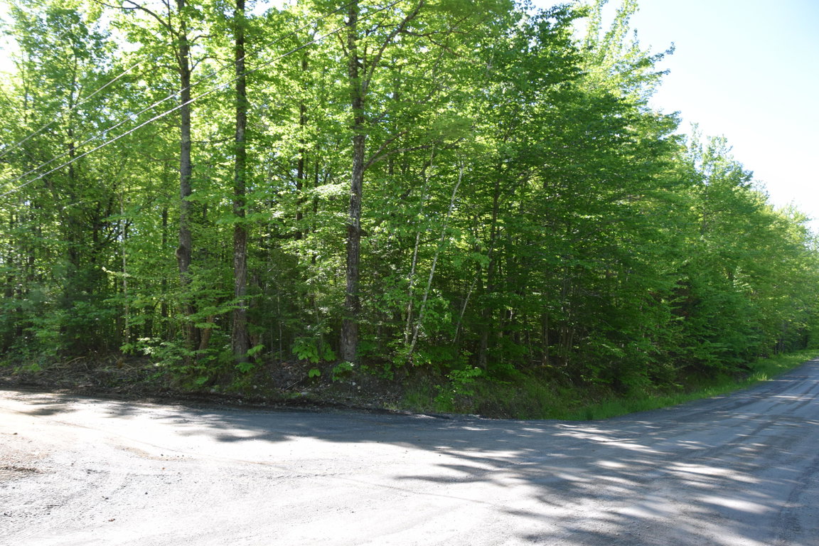 M10 L6-1 Hancock Pond Road Embden