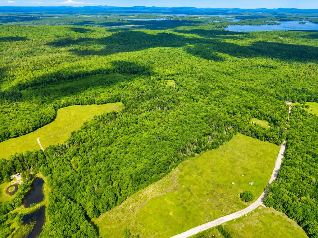 Lot 9 - Drone View