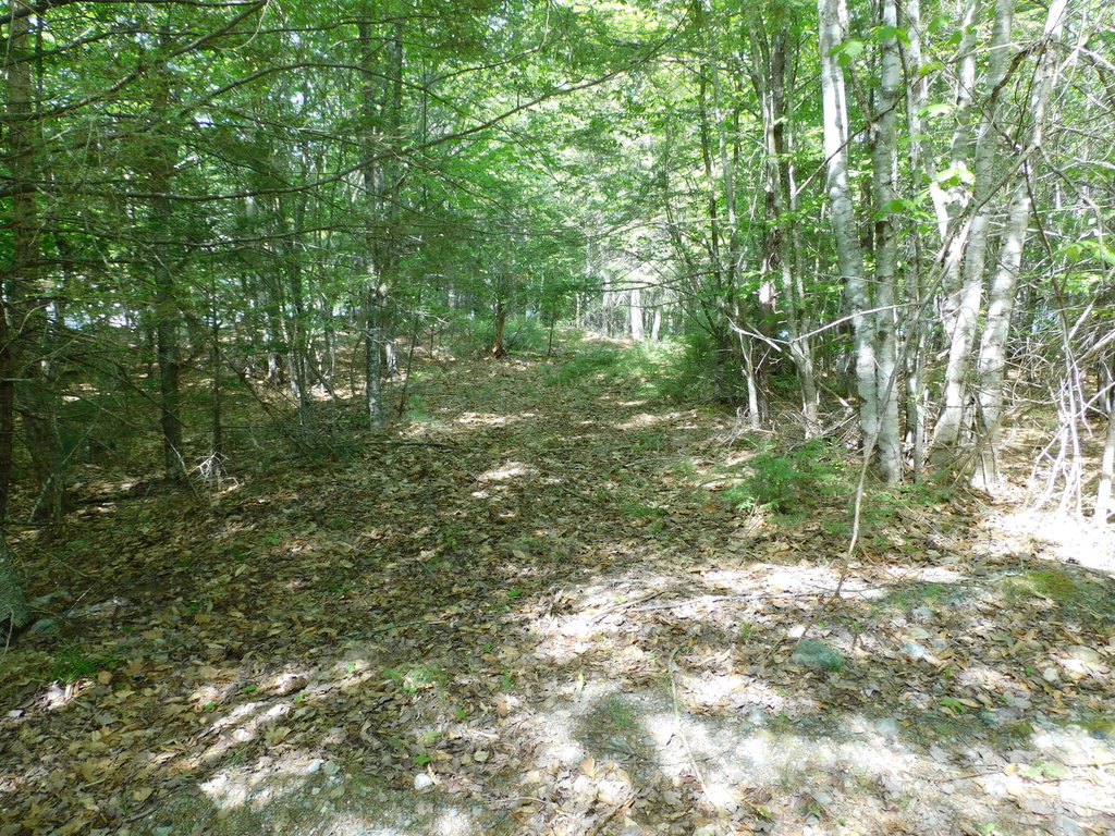 Lot 2 Big Lake Shores Road Greenlaw Chopping Twp