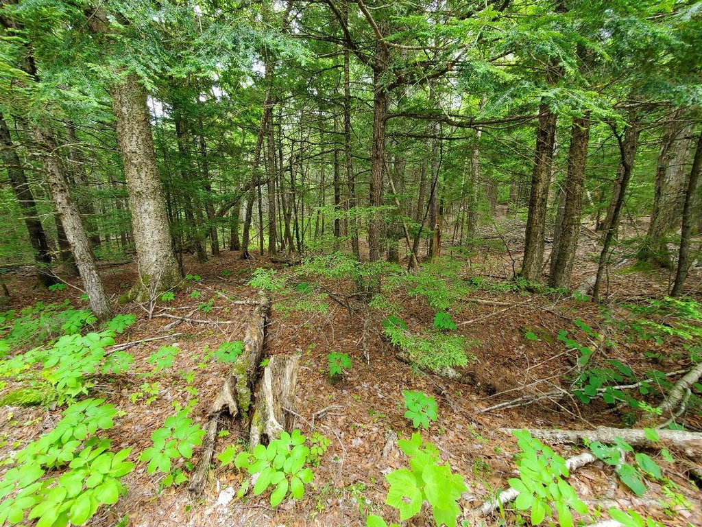 northerly side of lot