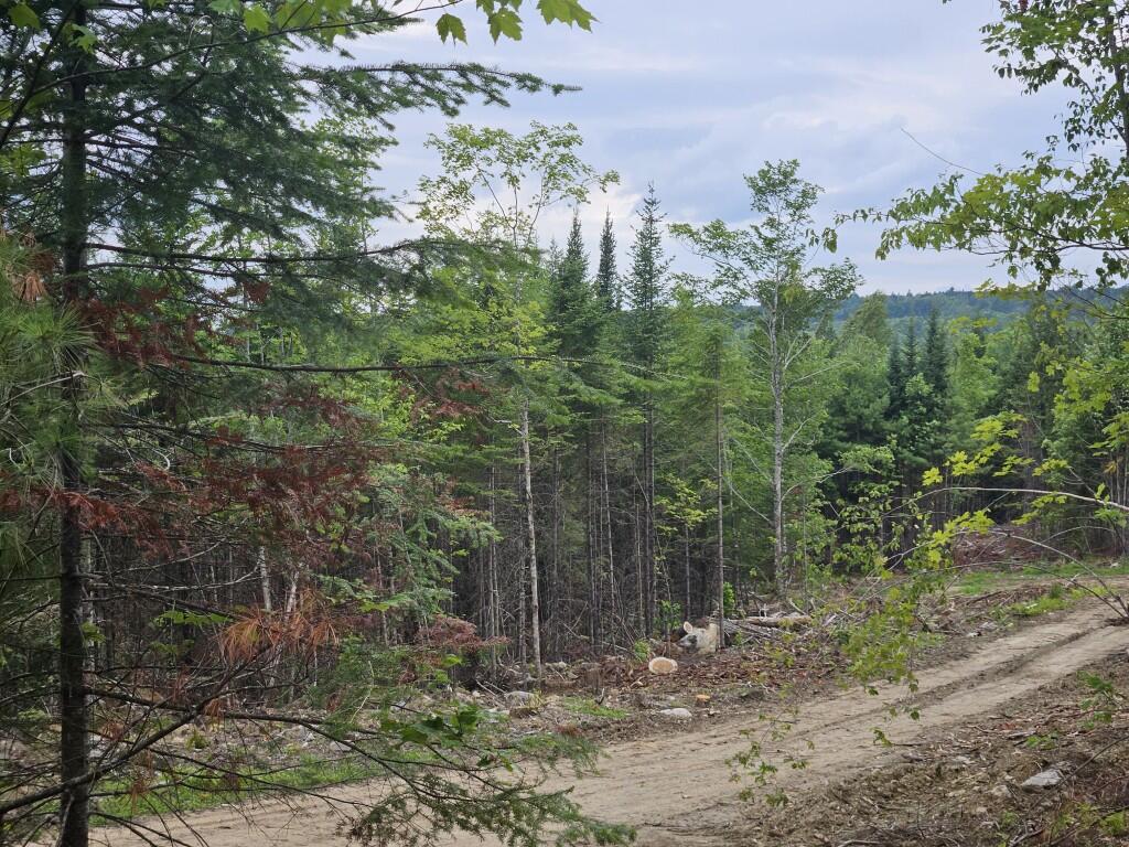 22-03 Rowell Mountain Road Solon