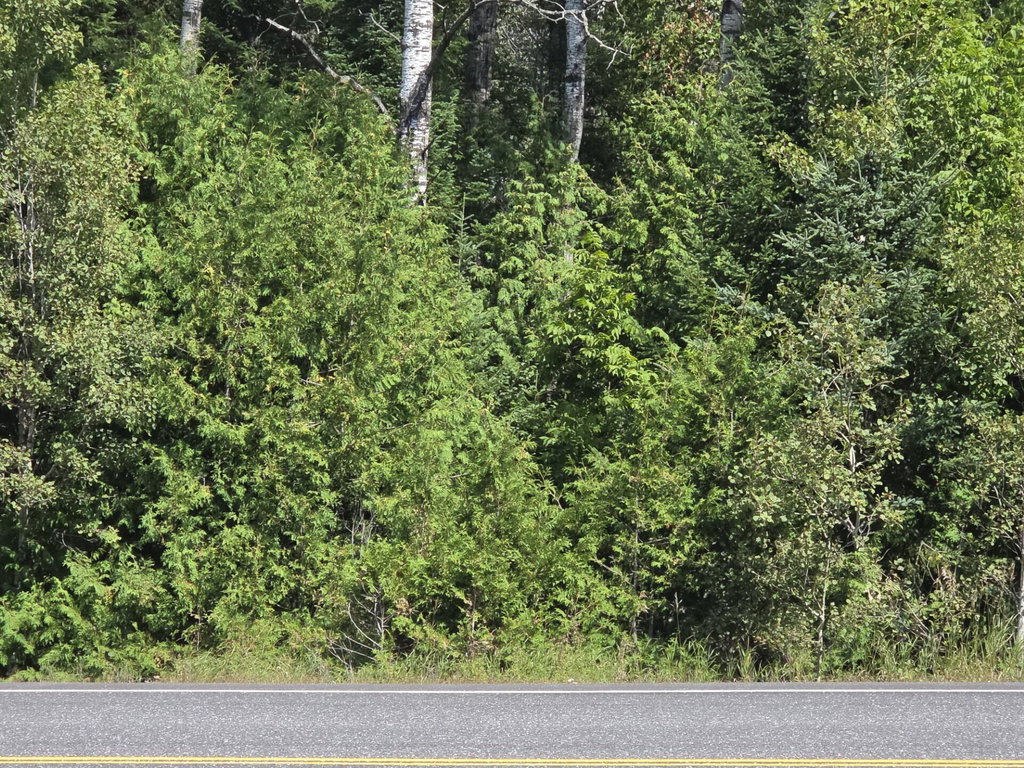 M6L10 New Sweden Road Stockholm