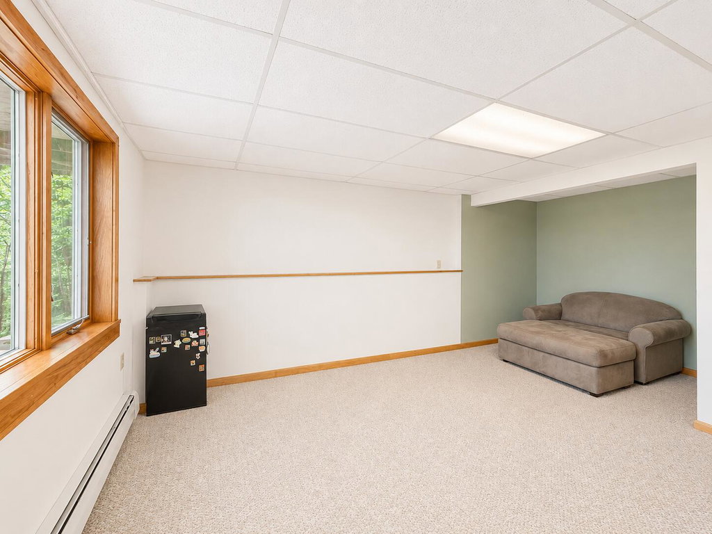 Basement BR