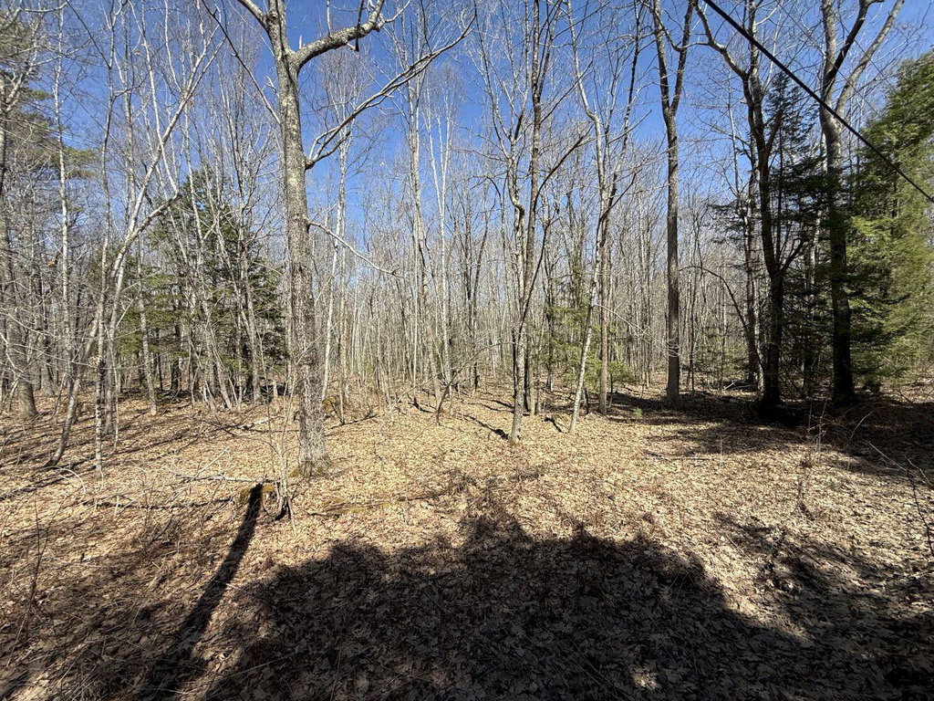 M14 L39 Sandy Point Road Vassalboro