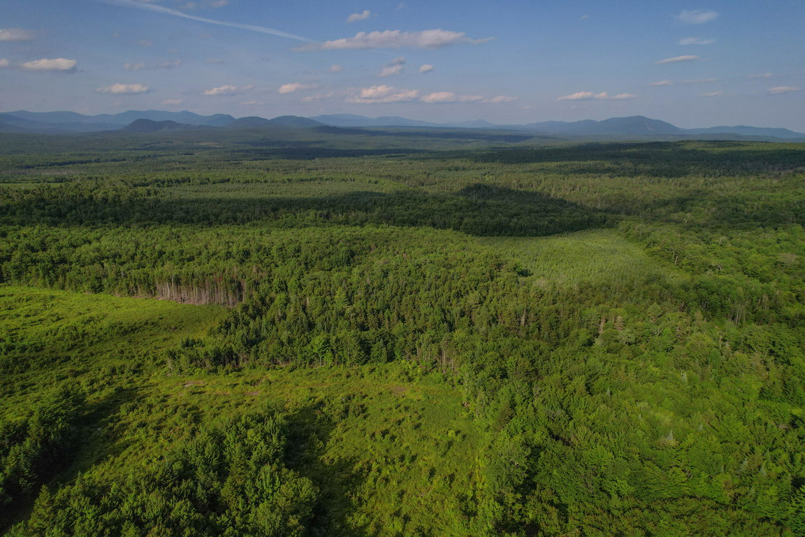 Lot 1 East Ridge Drive Greenville