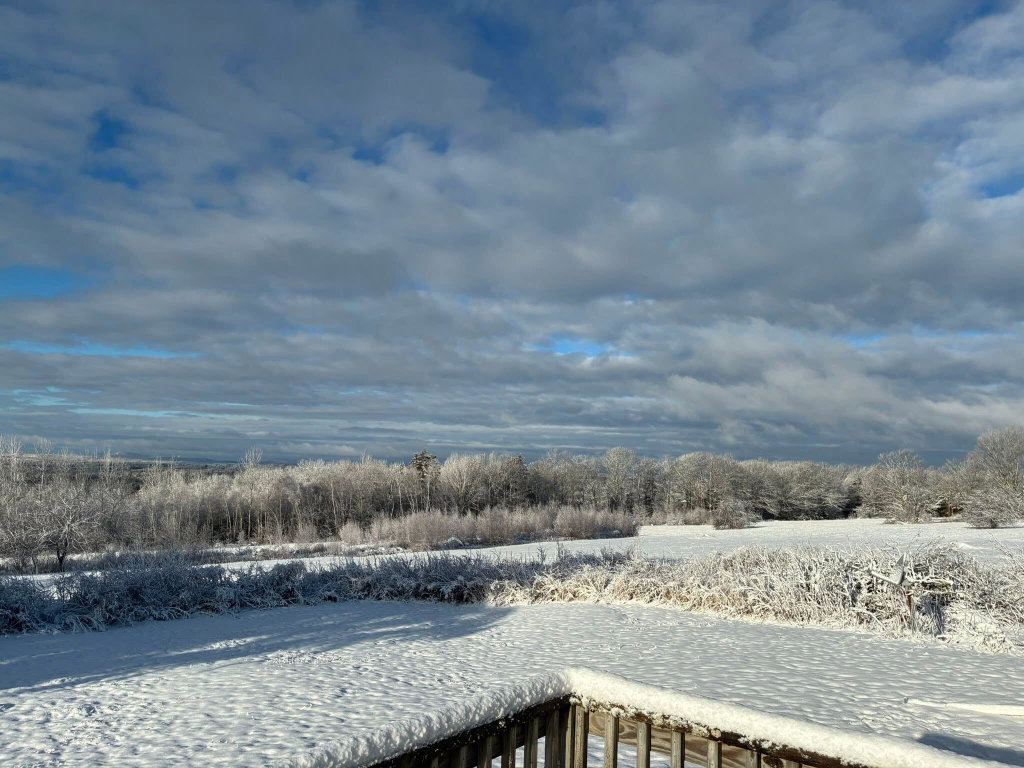 Beautiful in winter