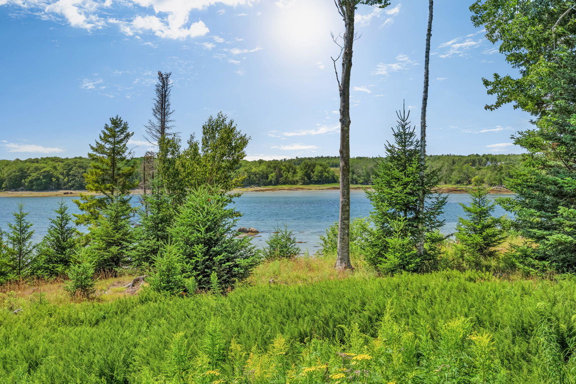 21-web-or-mls-60-moose-run