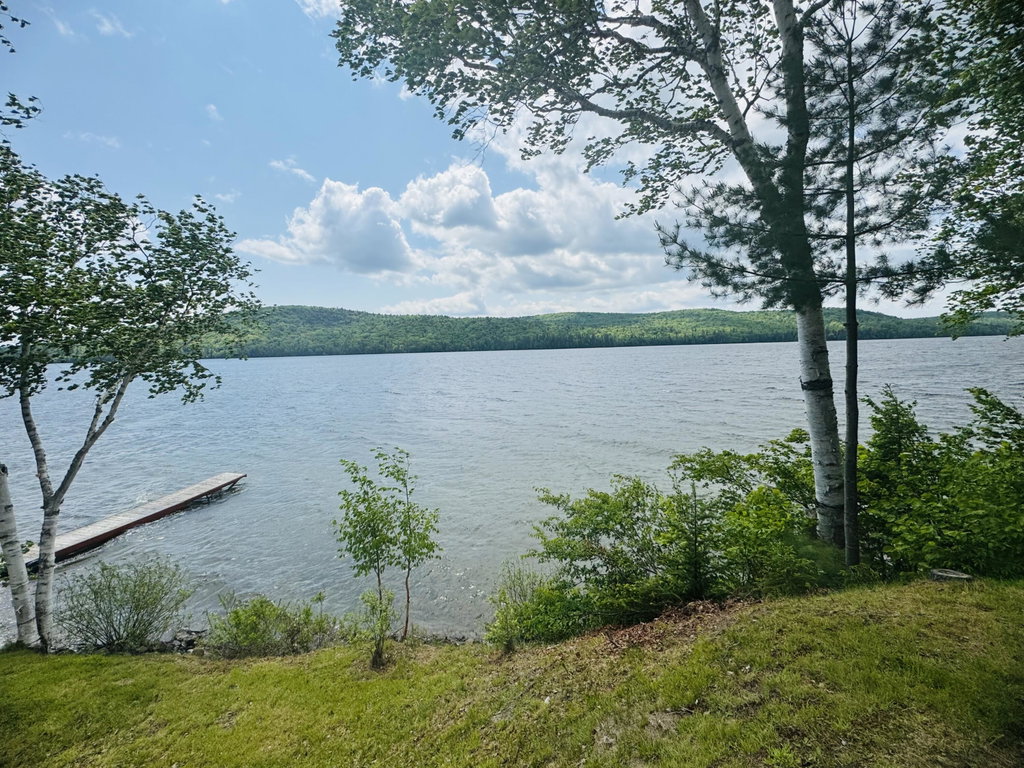 462 E Van Buren Cove Road T17 R3 WELS