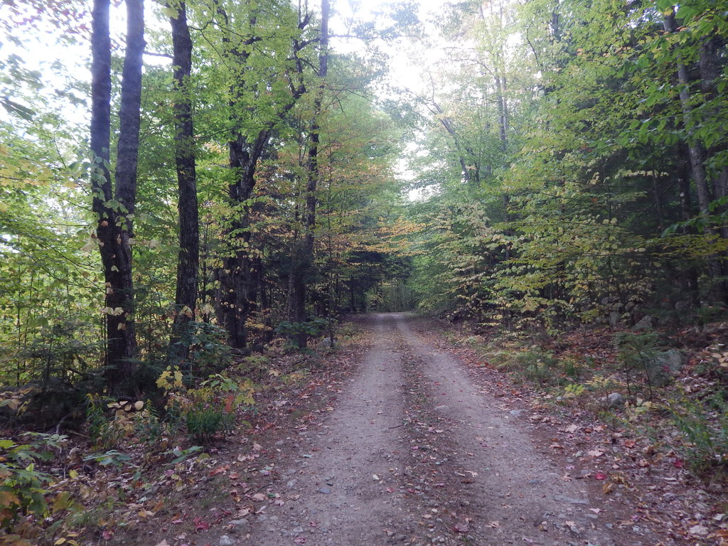 Lot#R13L50 Corn Hill Road Brownfield