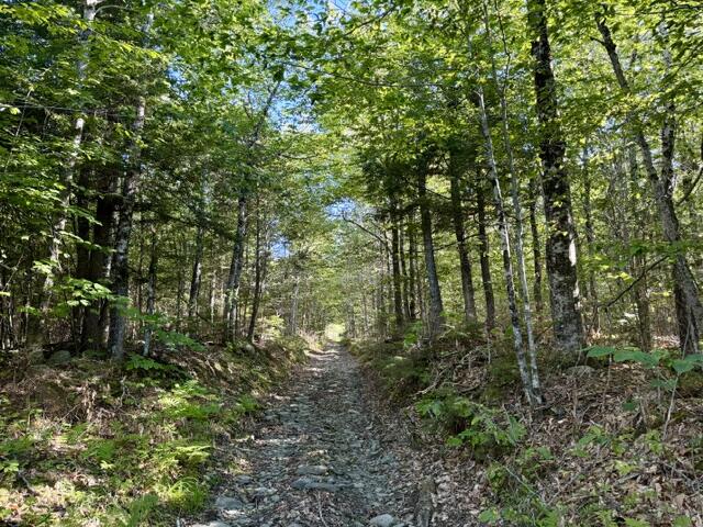 Lot 11  Baker Pond Road Solon