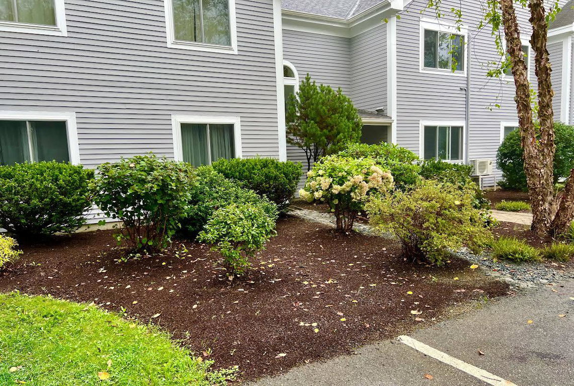 Nice Landscaping