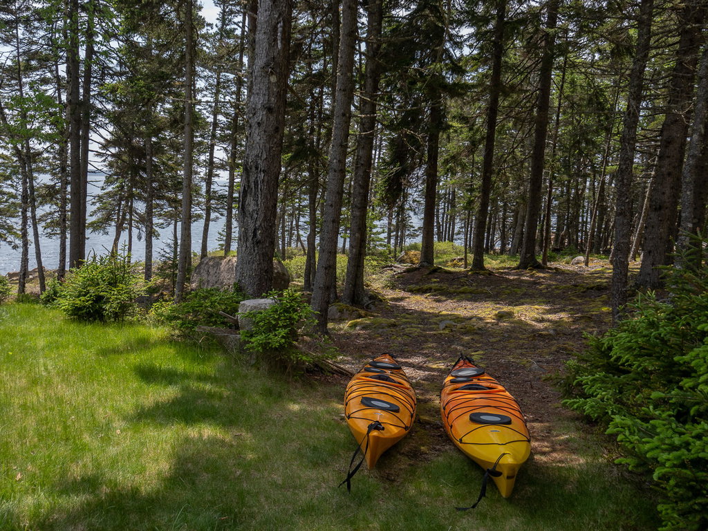 Kayaks