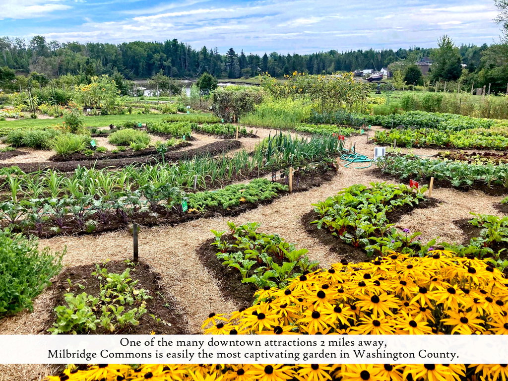Milbridge Commons Incredible Edible Gard