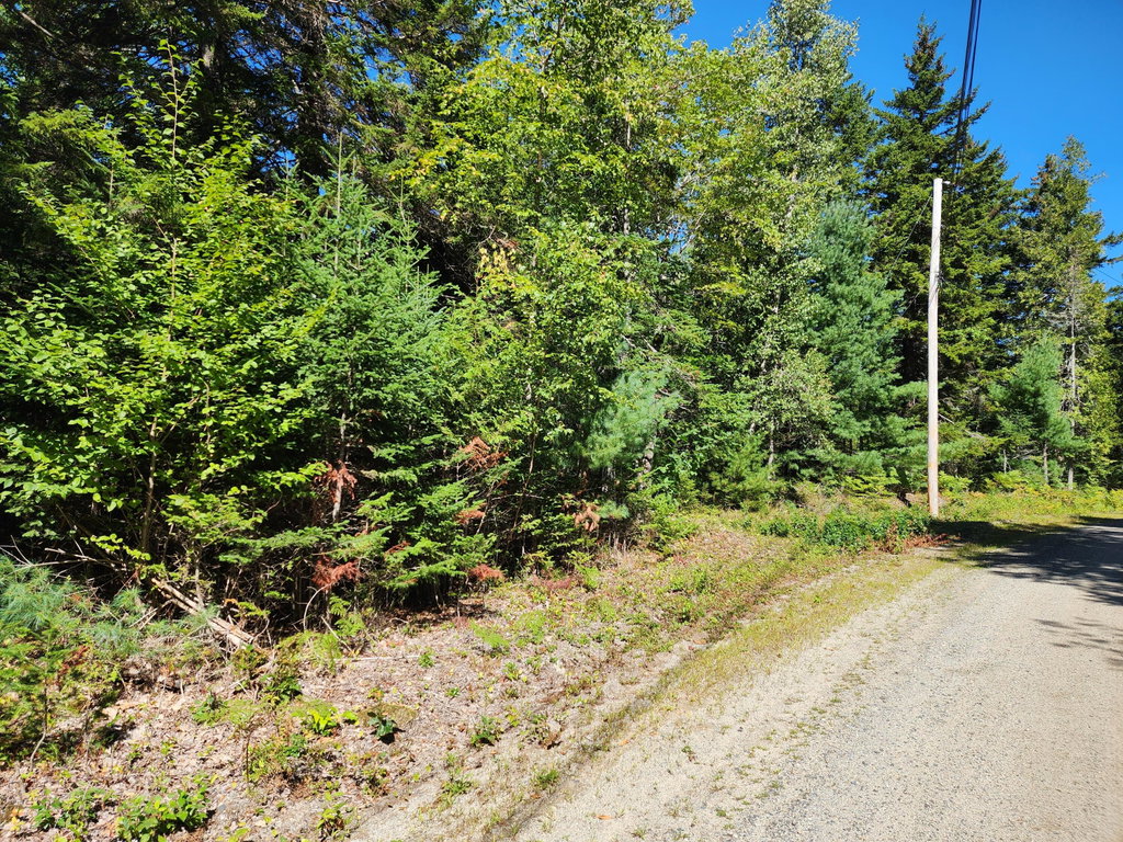 Mattson Lane, Blue Hill