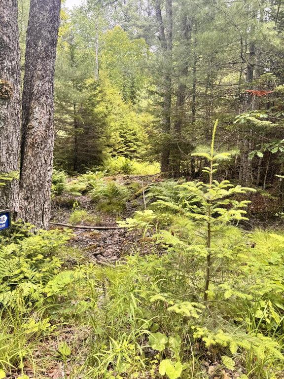 22A Pierce Pond Road Penobscot