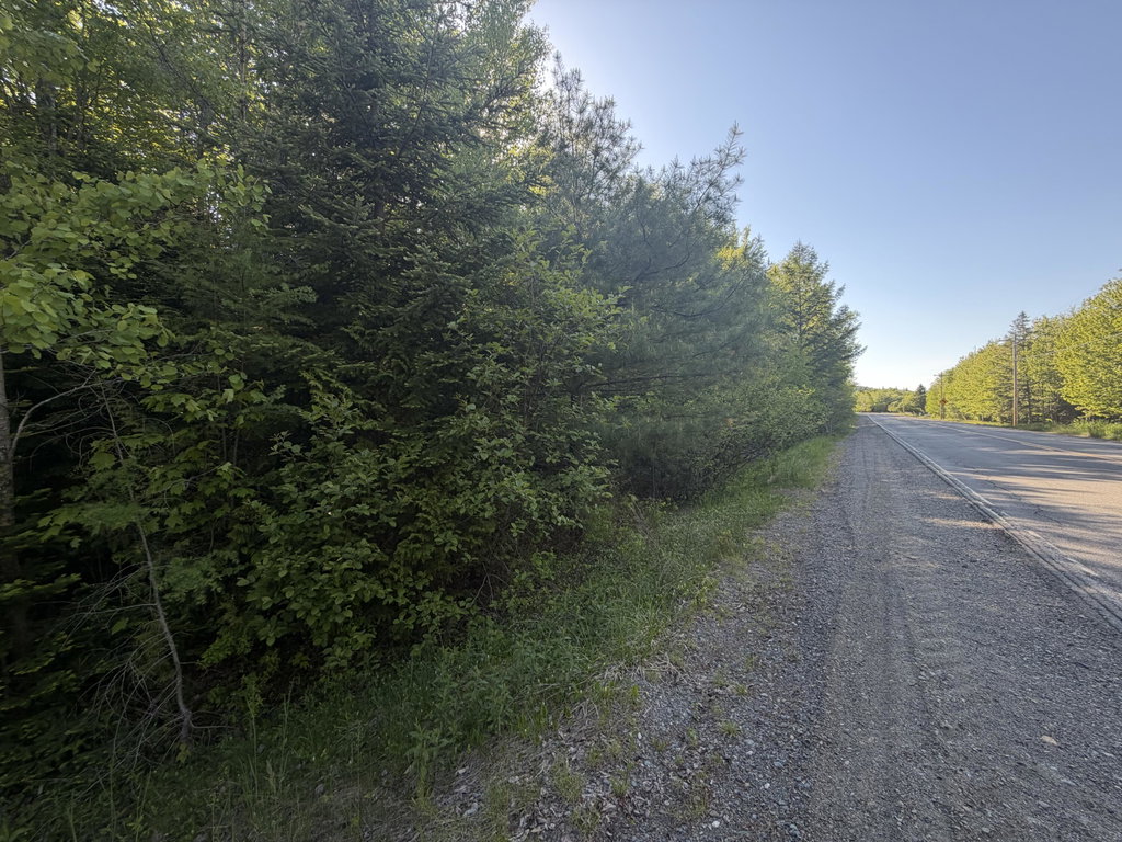 Lot A,C,&D Vanceboro Road Vanceboro