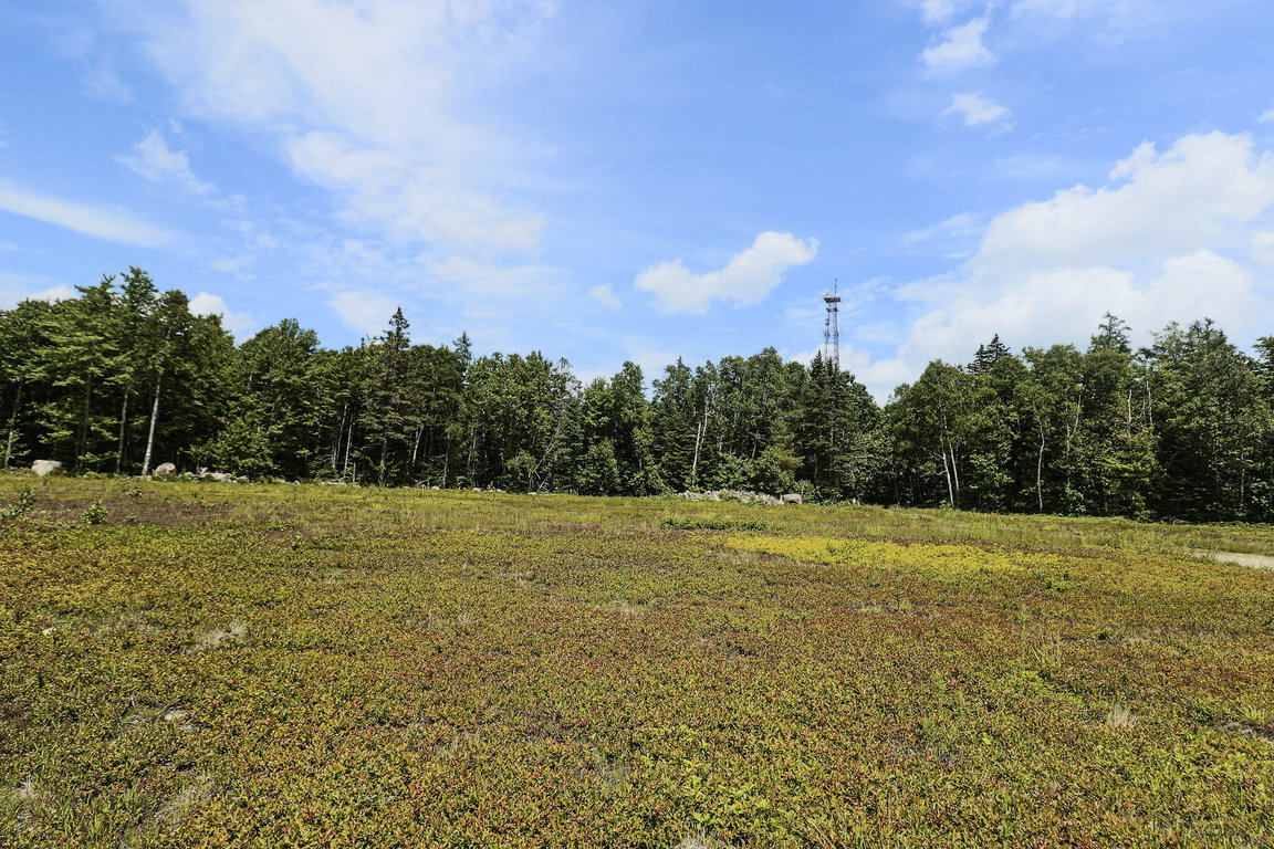 Lot 9