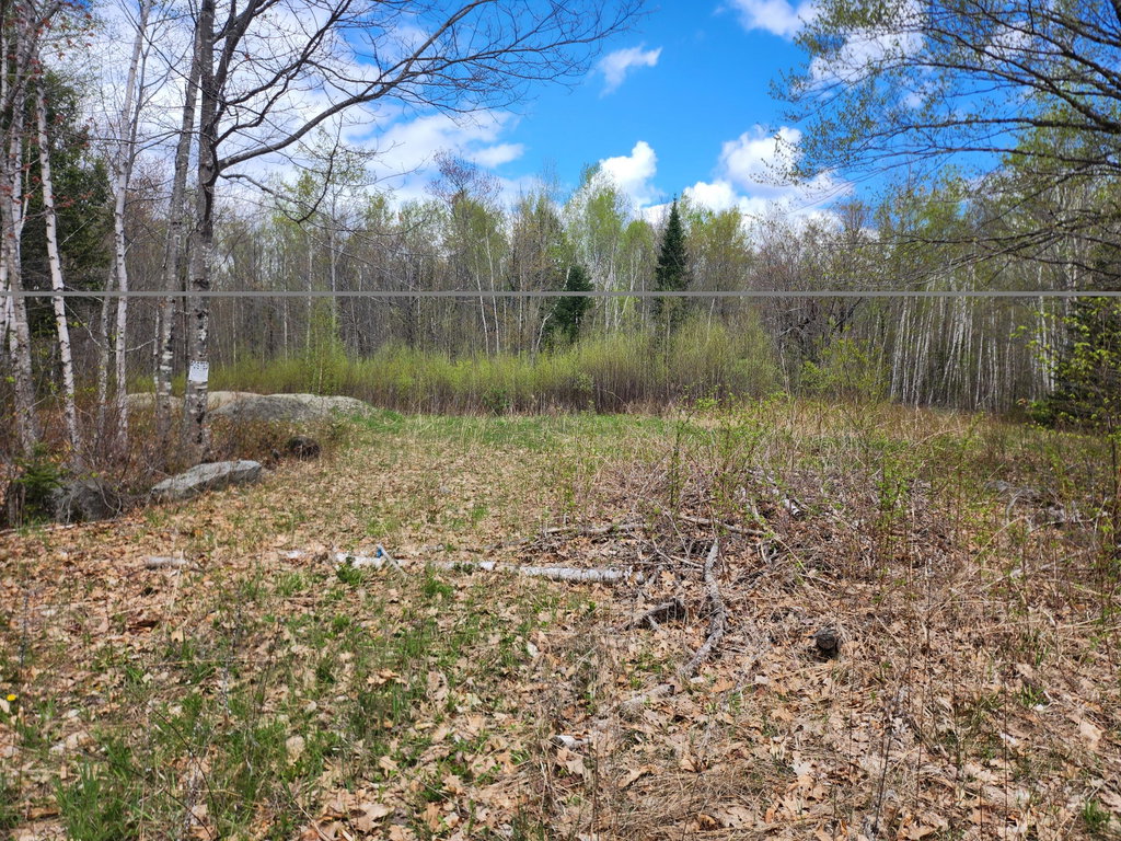 lot 29-8 Windfall Lane Palmyra
