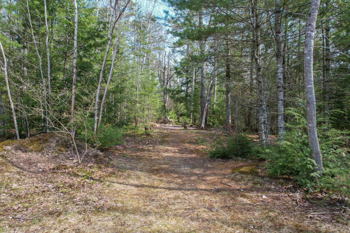 DJI_0656