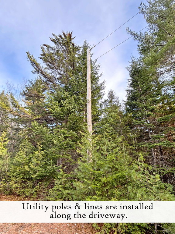 utility poles and lines, label