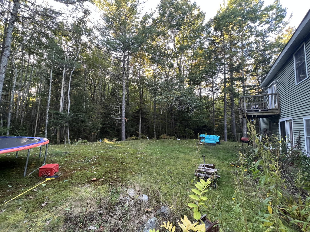 Back Yard from side