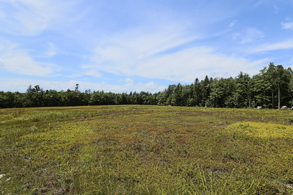 Lot 9