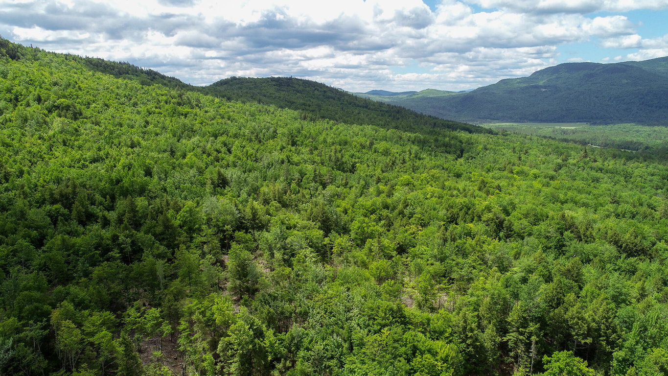 Map 402 Lot 8 Road Rumford