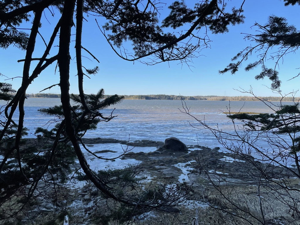 Lot 25-3 Flat Bay Drive  Harrington