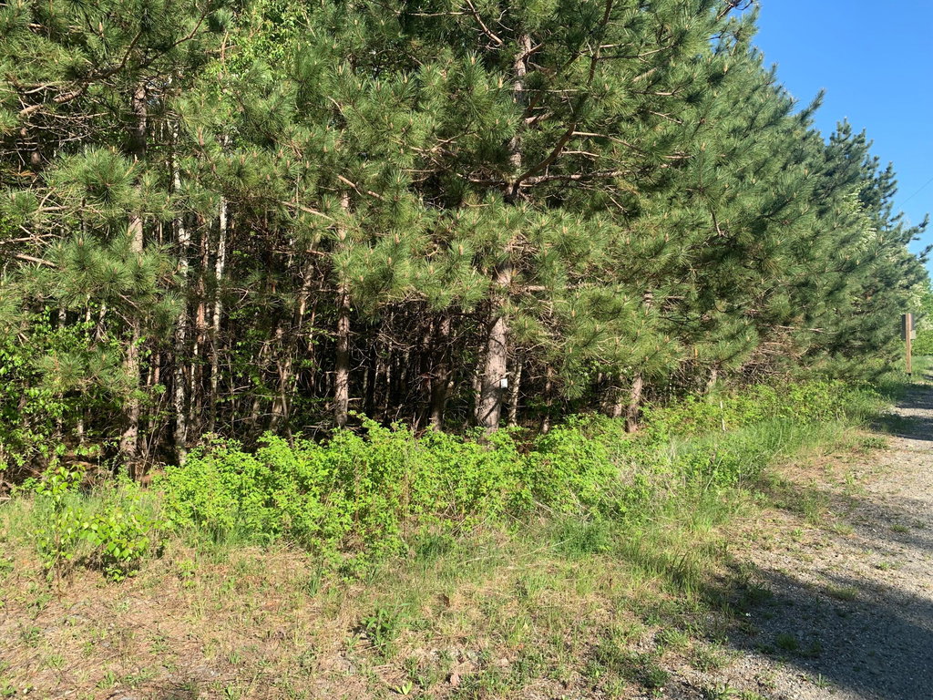 Lot 24 Grand View Drive Dedham