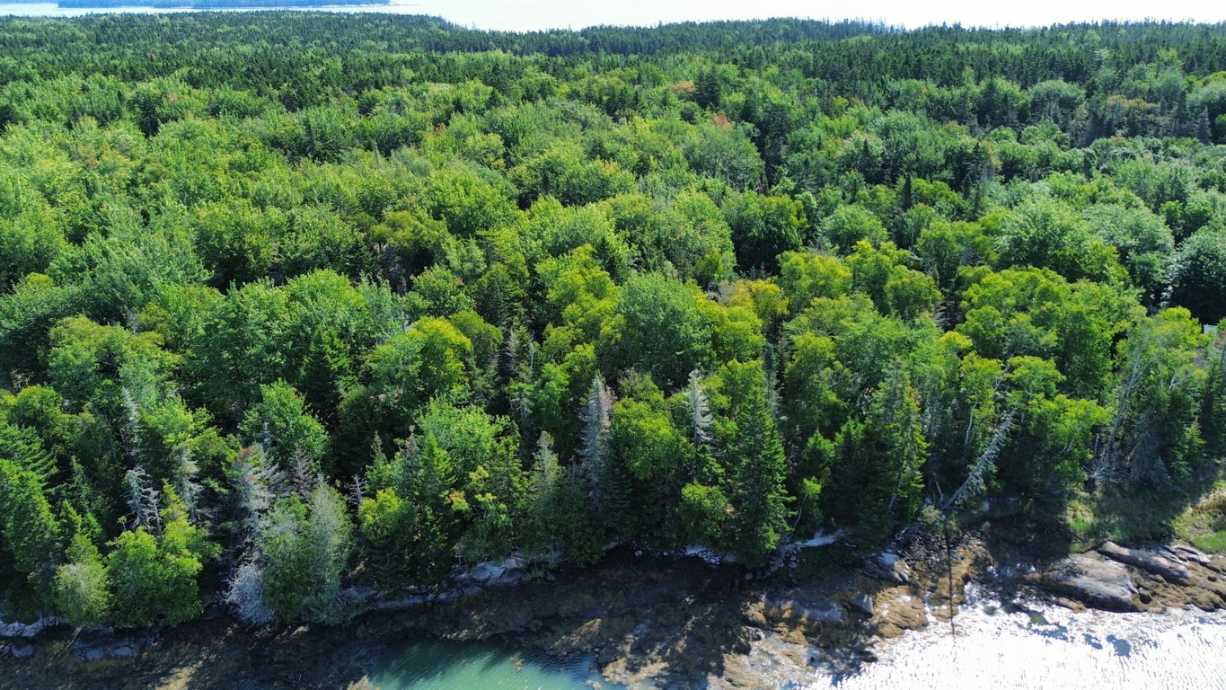 dji_fly_20260830_102922_101_178809963024