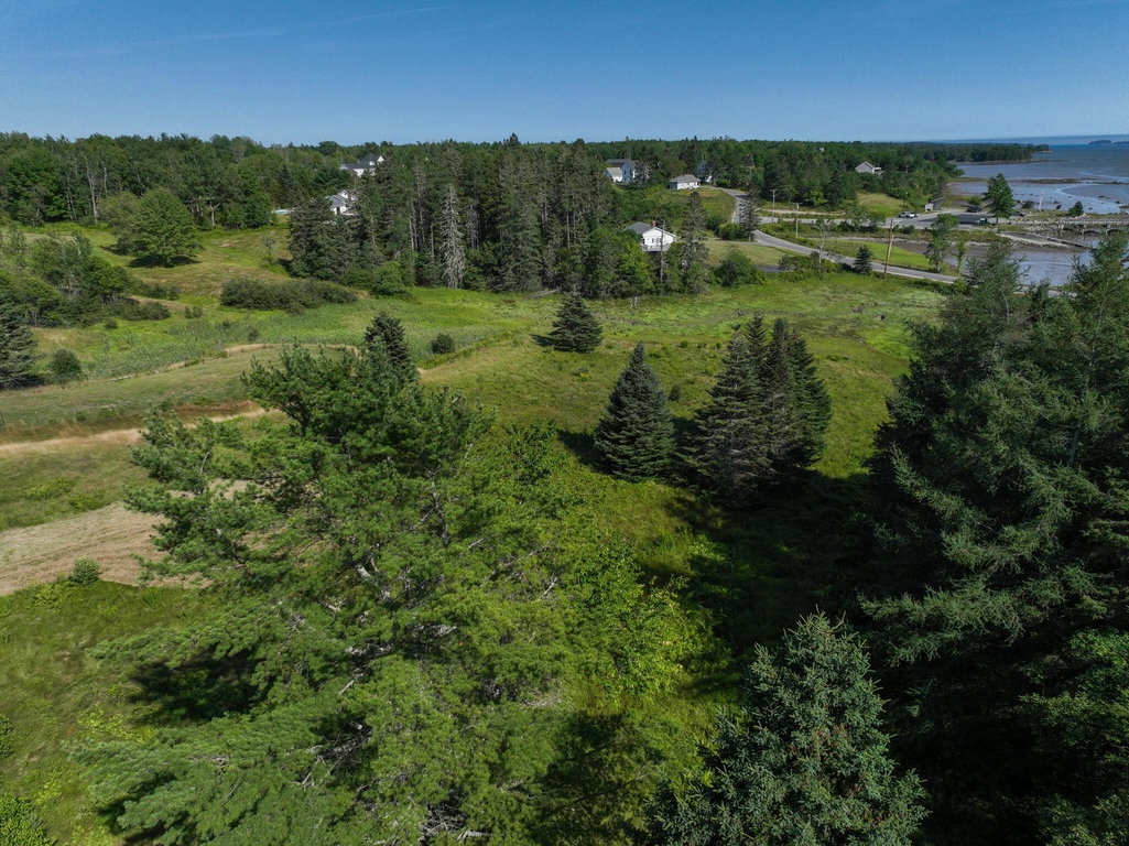 DJI_0877