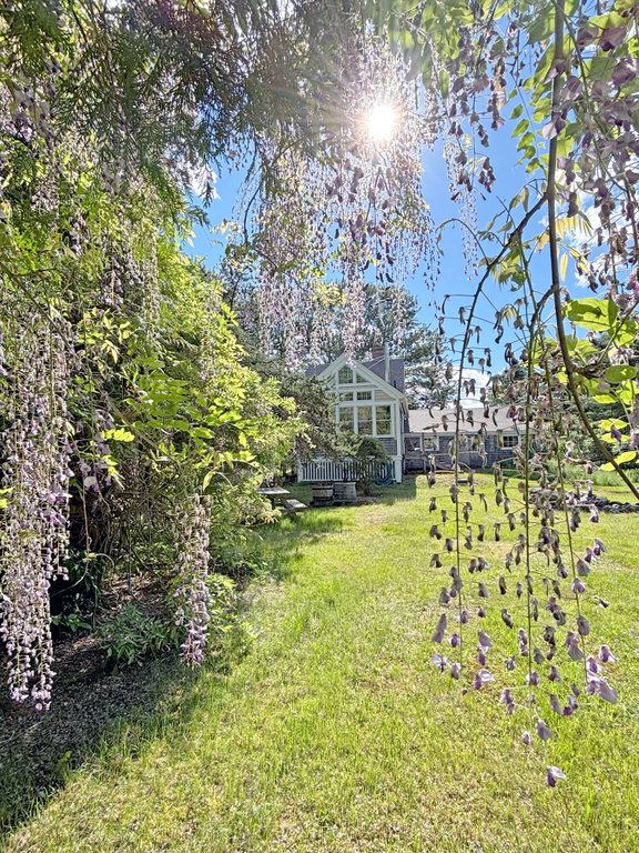 Grounds (1)